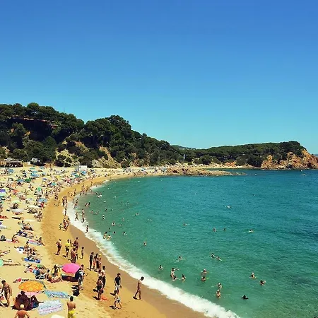 Blue Ocean *