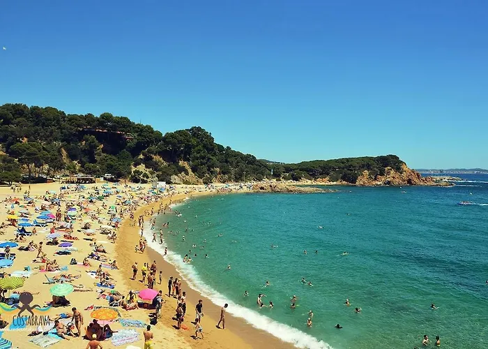 Blue Ocean *